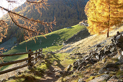 Geschichte Finailhof